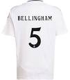 De Betekenis van Voetbalshirts: Symbool van Identiteit en Trots