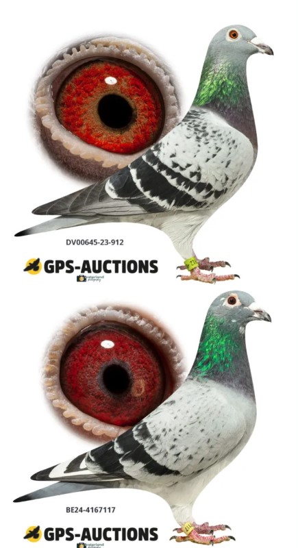 Het Tijdperk van de GPS Duif: Navigeren met Precisie